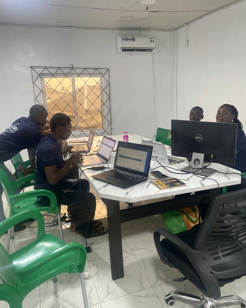 Flowealth learners working on a Data Analysis project
